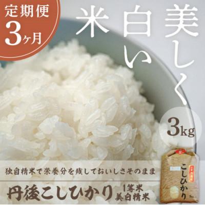 ふるさと納税 京丹後市 【毎月定期便】丹後こしひかり1等米3kg　美白精米全3回