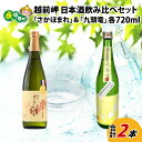 【ふるさと納税】酒好きも思わず唸る、田辺酒造　日本酒飲み比べセット（720ml×2本）／越前岬 純米大吟醸 「さかほまれ」 ＆　越前岬 槽搾り純米 永平寺町産復活米 「九頭竜」