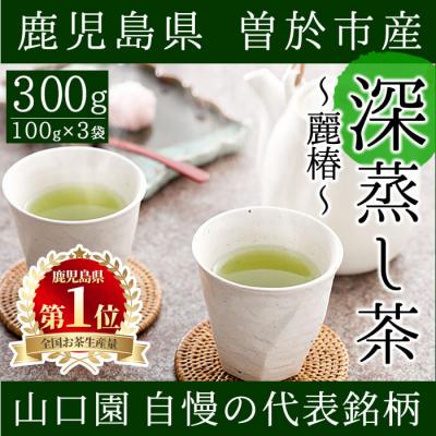 ふるさと納税 曽於市 &lt;お茶生産量日本一の鹿児島県産!&gt;小さいお茶屋の深蒸し茶〜麗椿〜300g!