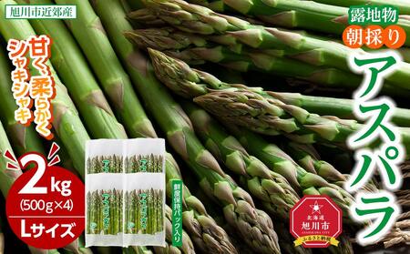 【2025年発送先行予約】朝採りアスパラ Lサイズ 2kg（500g×4）鮮度保持パック入り 旭川近郊産 露地物(2025年5月中旬発送開始予定) 【 アスパラ アスパラガス 朝採り とれたて 野菜 旬 小分け 保存 産直 産地直送 お取り寄せ 旭川市 北海道 送料無料 】_01591