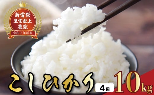 令和7年産 コシヒカリ 白米 4ヵ月連続 定期便 10kg × 4回 40kg