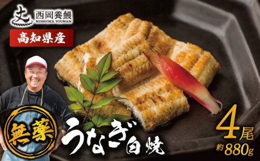 完全無投薬 鰻白焼 国産 うなぎ白焼 880g ( 220g × 4尾 ) 鰻 厳選 無薬 うなぎ 白焼き 白やき 国産うなぎ 国産鰻 人気 鰻白焼き 特製タレ 山椒 セット 湯煎 簡単調理 旨味 風味 香ばしい うな重 土用の丑の日 夏バテ対策 スタミナ食 ギフト 贈り物 贈答 お取り寄せ グルメ 高級 うなぎ料理 こだわり 冷凍 高知県産 ランキング おすすめ 西岡養鰻 安芸市 高知県