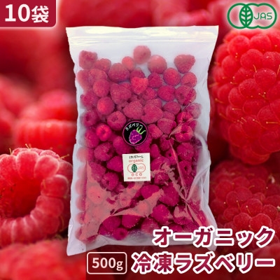 
            ＜北海道十勝産 希少品種＞冷凍ラズベリー500g×10袋【1677062】
          