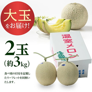 SA2950　芳醇な香りと美しい網目 「秀品 アールスメロン」　約3kg(青肉 大玉/2玉入)