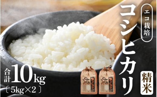 【先行予約】【令和8年産 新米】【一等米】エコ栽培コシヒカリ 白米10kg（5kg×2） ／ 鮮度抜群 福井県産 こしひかり ご飯 新鮮 白米 ※2026年10月上旬以降順次発送 [aw063-a031]