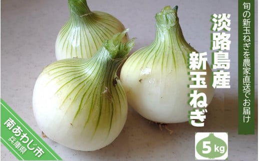 淡路島産 新玉ねぎ５kg　◆配送４月末頃～
