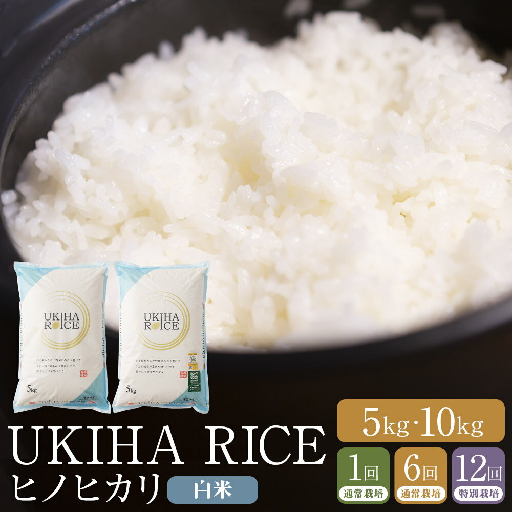 【ふるさと納税】〈選べる容量・定期便〉みずほファーム UKIHA RICE 白米 （5kg・10kg）・【6ヶ月定期便】・【12ヶ月定期便】【2025年11月より順次発送予定】【特別栽培米】こめ 白米 コメ ごはん ご飯 送料無料 福岡県 うきは市
