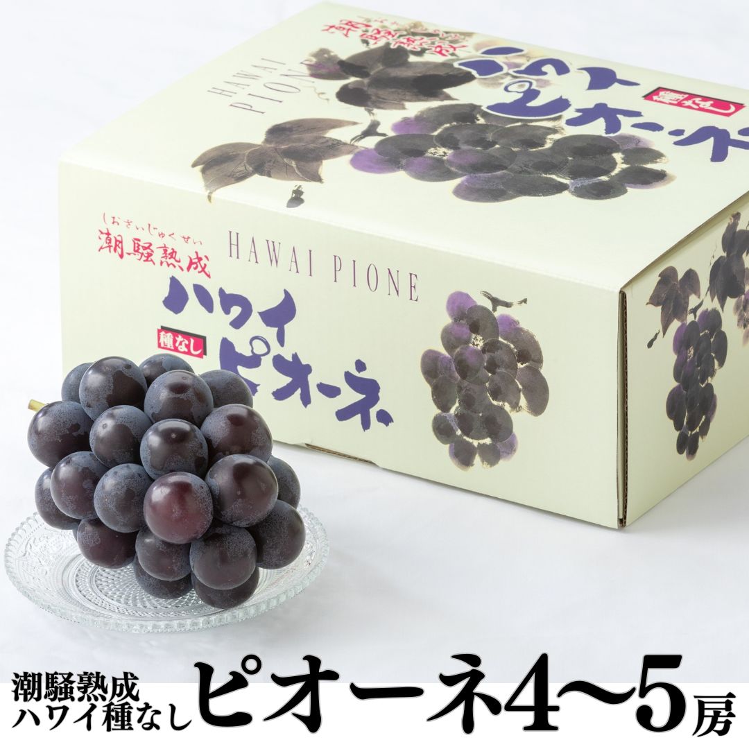 【ふるさと納税】ピオーネ 2kg 4房 5房 潮騒熟成 | ぶどう 種無し 鳥取県 湯梨浜町 果物 フルーツ 特産品 送料無料 2026年 先行予約 先行受付