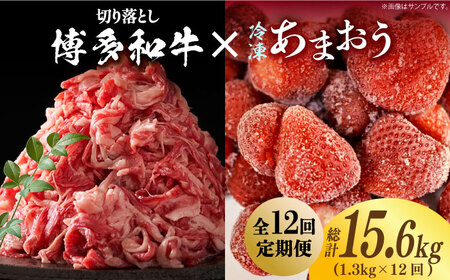 【全12回定期便】【訳あり】博多和牛 切り落とし ＆ あまおう セット1.3kg《築上町》【株式会社MEAT PLUS】 [ABBP108] 155000円 