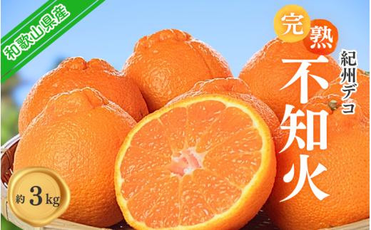 果肉プリプリ♪　完熟紀州デコ(不知火) 約3kg ＜2027年2月下旬頃〜3月中旬頃発送＞ / 不知火 しらぬい デコポン みかん 柑橘 フルーツ 果物 和歌山県産 古座川町【uot706A】