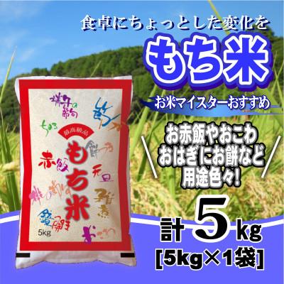 ふるさと納税 大網白里市 【令和7年産】千葉県産「もち米」精米 5kg(5kg×1袋)