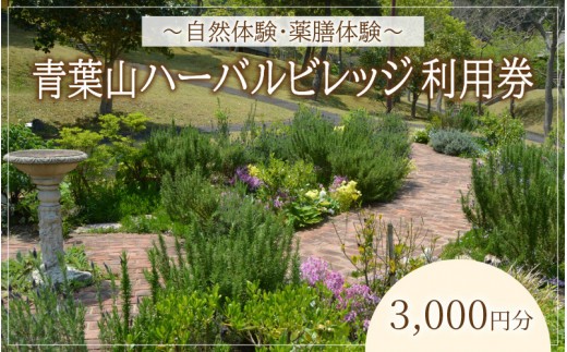 
            「自然・薬膳体験！」青葉山ハーバルビレッジ利用券3,000円
          