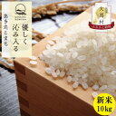 【ふるさと納税】秋田県産　あきたこまち＜新米先行予約＞【令和6年産】白米10kg(5kg×2)《10月中旬より発送【配送不可地域：離島・沖縄県】【1414472】