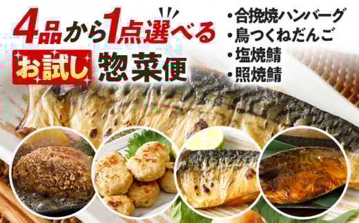 お試し  4品から1点選べる惣菜便 合挽焼ハンバーグ8個 照焼鯖6枚 塩焼鯖6枚 鳥つくねだんご（はかた一番どり入り）600g 調理済 惣菜 総菜 レンチン 簡単調理 レンジで簡単 鯖 さば ハンバーグ つくね 冷凍 お弁当 おかず つまみ