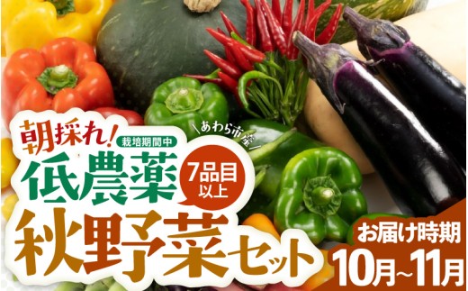 【先行予約】農家直送 秋野菜セット 1箱 7品目以上 《元気に育った新鮮野菜！》※2025年10月下旬以降発送 [aw028-a010]