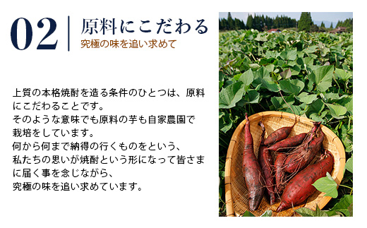 特醸蔵八・芋蔵八 飲み比べ セット 1800ml×6本 25度 パック 【 芋 米 芋焼酎 米焼酎 芋焼酎 濃厚 食中酒 蔵八 熊本県 多良木町 】 039-0129