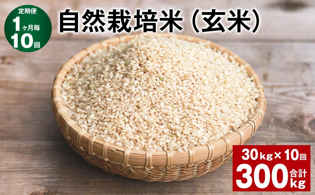 
【1ヶ月毎10回定期便】 自然栽培米（玄米） 計300kg（30kg✕10回） お米 玄米 ミルキークイーン
