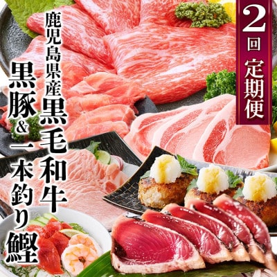 定期便(2回配送)鹿児島県産黒毛和牛・豚肉・一本釣りかつお DD-6004【配送不可地域：離島】【1166749】