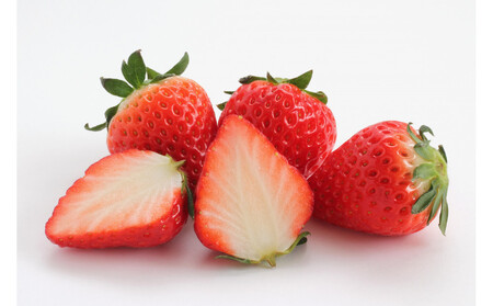 こだわり栽培 いちご 【食べ比べ】 約1kg はるひ＆ゆめのか(各2パック)【2026年1月下旬～2026年4月末までお届け】