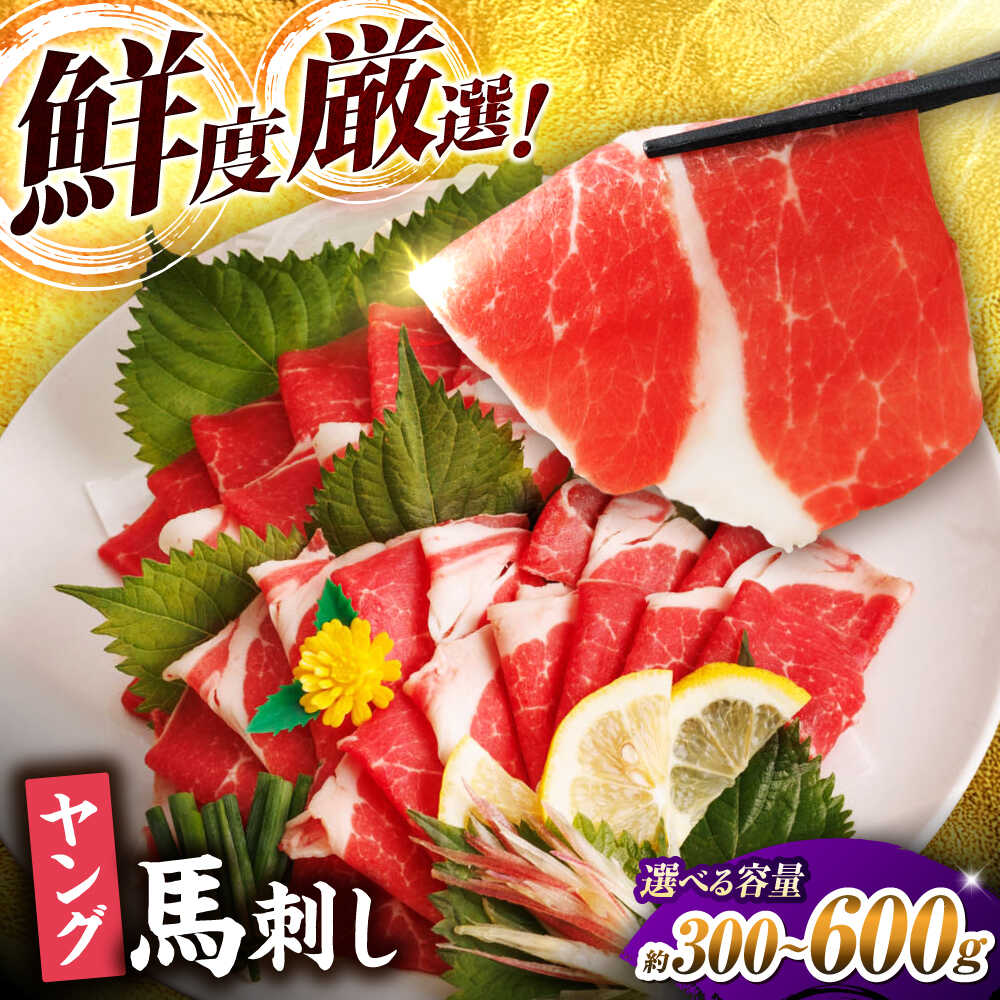 【ふるさと納税】《選べる容量！》ヤング馬刺し 計約300g～約600g（約100g×3～6パック） タレ付き 馬刺し ヤング 馬刺し 馬肉 桜肉 馬 肉 便利 小分け コリコリ 冷凍 生食 刺身 九州 熊本県 山鹿 送料無料 【馬刺しの郷 民守】[ZBL012]