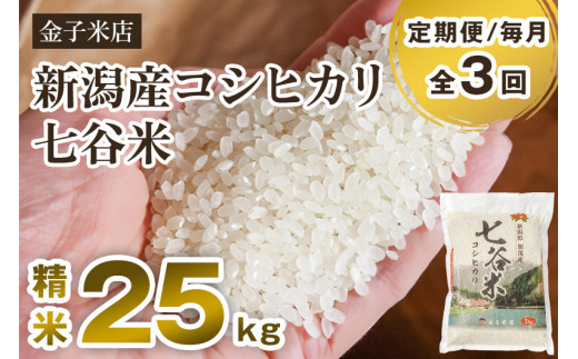 【令和8年産新米先行予約】【定期便3回毎月お届け】老舗米穀店が厳選 新潟県加茂市産コシヒカリ「七谷米」精米25kg（5kg×5）〈9月下旬～順次出荷〉 従来品種 白米 窒素ガス充填パックで鮮度長持ち 金子米店