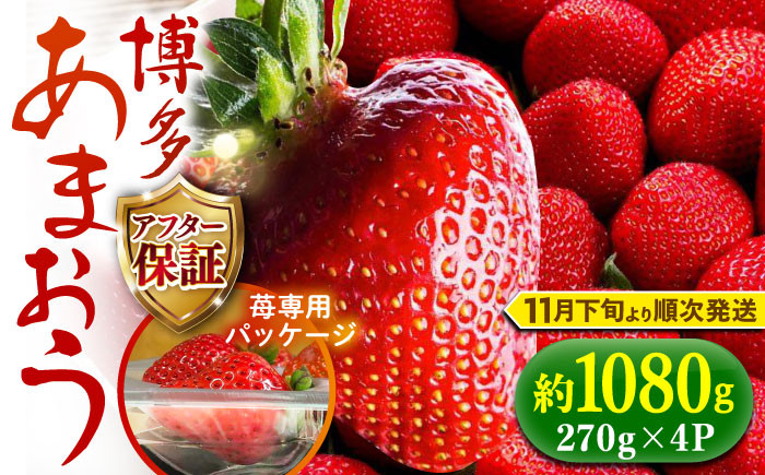 
            【1月上旬より順次発送】農家直送 朝採り新鮮いちご【博多あまおう】約270g×4パック《築上町》【株式会社H&Futures】 [ABDG002] 15000円
          