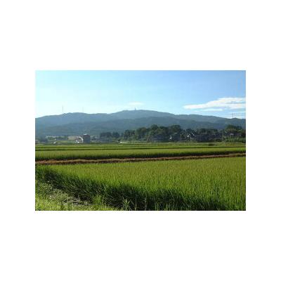ふるさと納税 宝達志水町 【3回 定期便 】米 コシヒカリ 「弘宝米」 精米 10kg 総計 30kg  [38601284] |  | 03