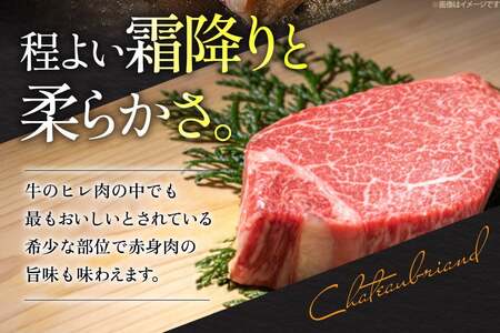 シャトーブリアン ヒレ ステーキ 博多和牛 A5等級 4枚 シャトーブリアン 7月中旬から順次発送