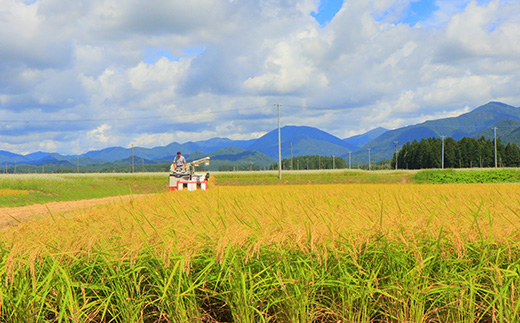 米食味鑑定士厳選 新庄産米食べ比べ3種 各2kg 米 お米 おこめ 山形県 新庄市 F3S-0339