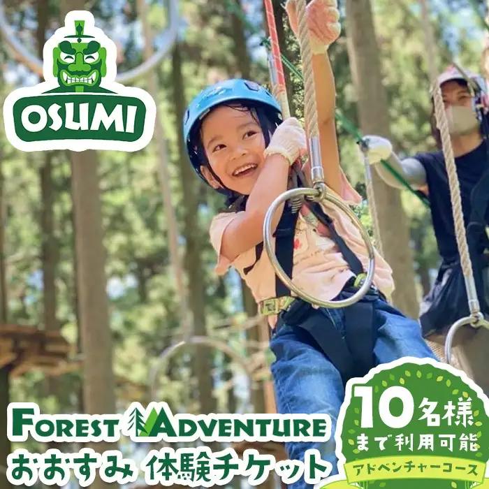 【アドベンチャーコース】フォレストアドベンチャー・おおすみ グループ体験チケット (最大10名様)【フォレストアドベンチャー・おおすみ】 D48