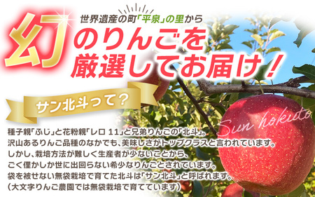 【令和6年度分予約受付】大文字りんご園 サン北斗 約3kg (7～10玉) 【2024年10月下旬より順次発送】/りんご りんご りんご りんご りんご りんご りんご りんご りんご りんご りんご
