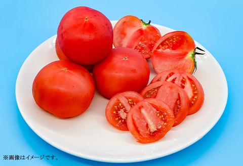 568 桃太郎トマト 約1.6kg 8～12個 品種 ブライト 甘み 糖度 6度以上 先行予約 【3～5月発送予定】