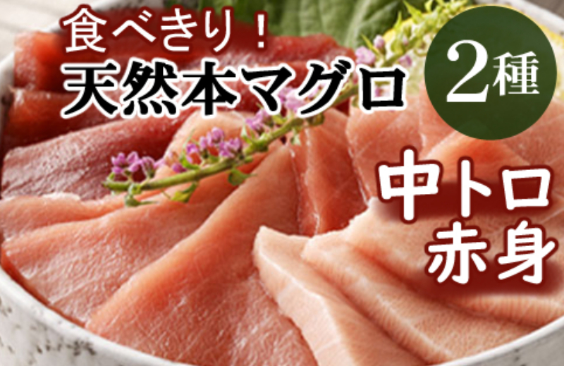 厳選天然本マグロ中トロ・赤身食べきりセット【４００ｇ】　ge010