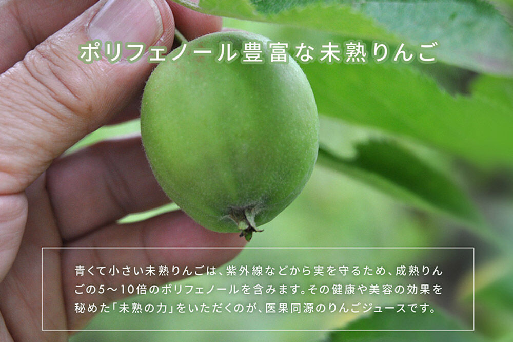 【寄附金額見直しました】医果同源未熟りんご入り りんごジュース（160g×8本入）