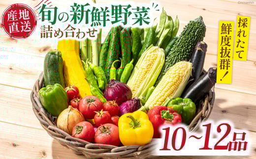 野菜 旬の新鮮 野菜詰め合わせセット（10品～12品）/ 野菜 やさい 野菜セット やさいセット 春野菜 夏野菜 秋野菜 冬野菜 旬新鮮 野菜 野菜セット やさい 詰め合わせ セット 新鮮 旬 旬野菜 やさいセット 季節の野菜 採れたて 産地直送 / 南島原市 /長崎県農産品流通合同会社[SCB094]