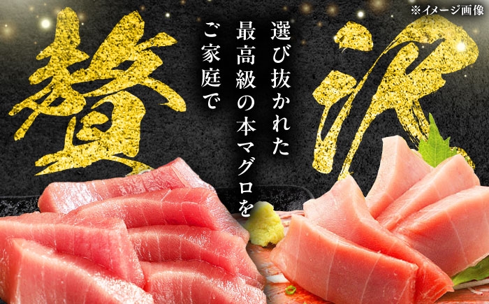 冷凍 マグロ まぐろ 中トロ 中とろ 鮪 本マグロ 赤身 ねぎとろ ネギトロ たたき トロ 刺身 海鮮 海産物 魚 柵 