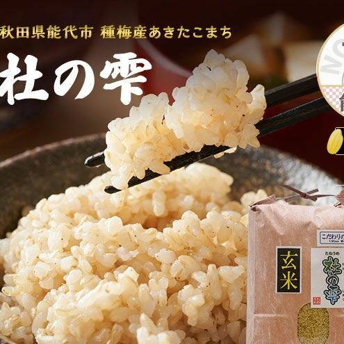 新米 米 お米 《定期便5ヶ月》【玄米】秋田県産 あきたこまち あきた種梅産こまち 杜の雫 こだわりの大粒 10kg（5kg×2袋）×5回 合計50kg