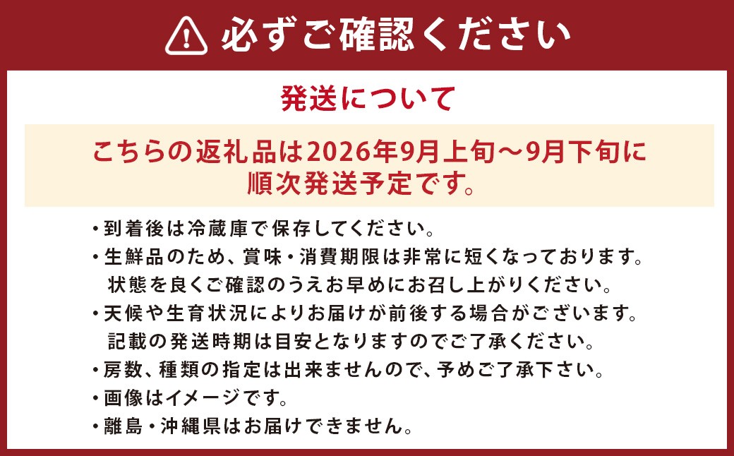 ぶどう 3種 詰め合わせ 合計約1.5kg 3～5房 巨峰 イタリア 安芸クイーン 【2026年9月上旬～9月下旬順次発送予定】