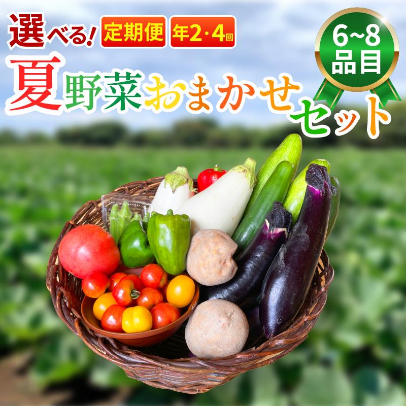 
                  野菜 夏野菜 セット 6～8品目 3人～4人用 定期便 年2回 or 年4回 選べる 回数  詰め合わせ 茄子 きゅうり ピーマン トマト ミニトマト 白茄子 オクラ 大葉 枝豆 ズッキーニ ししとう とうもろこし パプリカ じゃがいも たまねぎ にんじん サラダ カレー 野菜炒め 森商店 徳島県 吉野川市
                