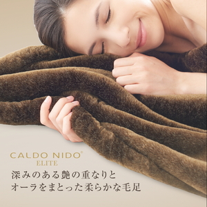 カルドニード・エリート 敷き毛布 シングル (100×205cm) [4215]