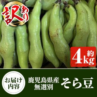 ＜2025年4月上旬以降発送予定＞＜訳あり＞鹿児島県産 そら豆(約4kg) 国産 野菜 そら豆 ソラマメ おつまみ サラダ 炒め物 訳アリ サイズ混合 ソラ豆 鞘つき さやつき【松永青果】a-12-2