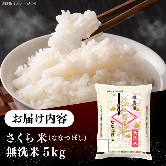 【令和7年産】【無洗米】ななつぼし さくら米 5kg 北海道 コメ こめ ブランド 銘柄 [AXAB033]