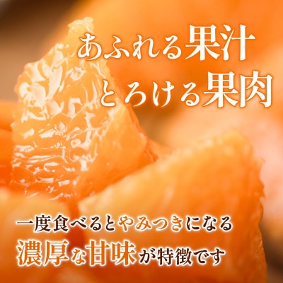 【先行予約】せとか 2.5kg 家庭 柑橘 柑橘の大トロ　小箱【配送不可地域：離島】