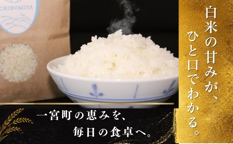 千葉県一宮町産特別肥料栽培『カツオ＋カニ』コシヒカリ（白米１０㎏）令和８年産米【2026年発送分】先行予約　一等米　10kg　１袋　白米　精米　先行予約
