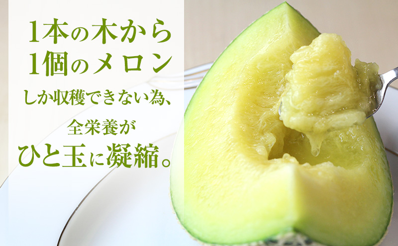 クラウンメロン 2玉入り 約2.4kg 白等級 化粧箱入り 果物 フ