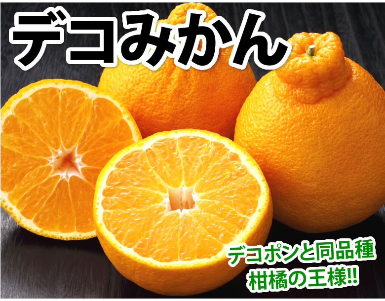 
訳ありデコみかん 約5kg 箱込 （内容量 約4.5kg） 柑橘 果物 デコ みかん フルーツ 【2025年1月下旬から2025年4月下旬発送予定】
