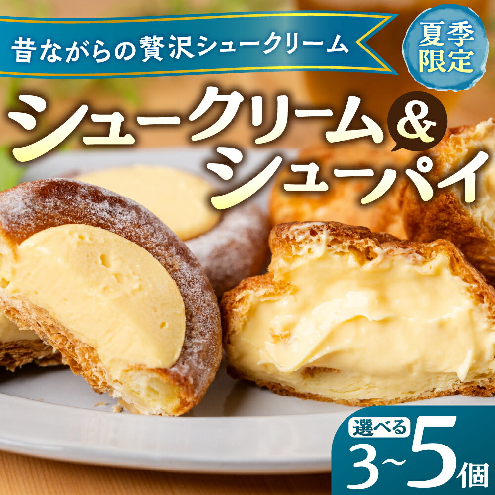 【ふるさと納税】シュークリーム シューパイ シューアイス 選べる 3個 4個 5個 デザート スイーツ 洋菓子 小分け 冷凍 パティスリーマツキ 夏季限定 期間限定 アイス 飛騨 お試し [Q2995]