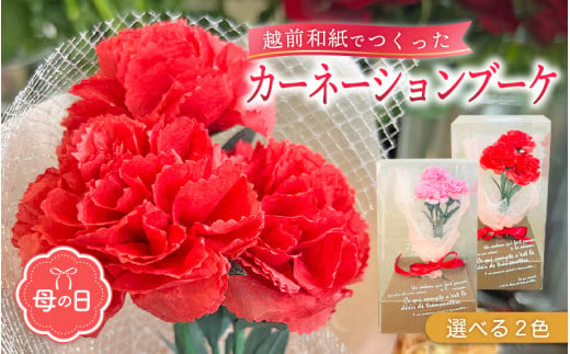 【先行予約】【母の日】カーネーション ブーケ 花 ギフト 越前和紙 花 【2025年5月発送】「永遠の感謝」 メッセージ【カラー：赤色】【 フラワーギフト 和紙花 手軽 コンパクト 枯れない  メッセージカード 】 [e51-a005_01]