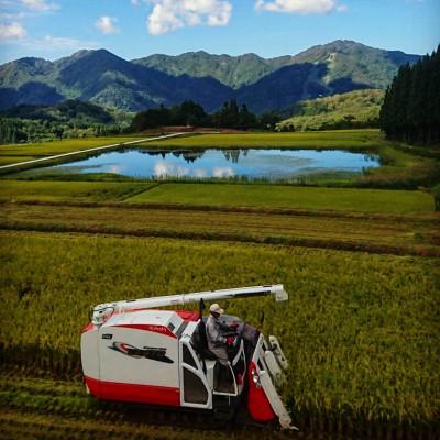 ふるさと納税 村上市 【令和7年産米】有機栽培米コシヒカリ(300g×4袋)+パックごはん(150g×4個)セット |  | 02