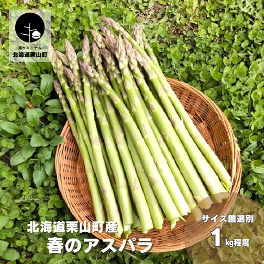 【ふるさと納税】【2027年度産 先行予約】北海道栗山町産 春アスパラ 1kg程度 池田農林